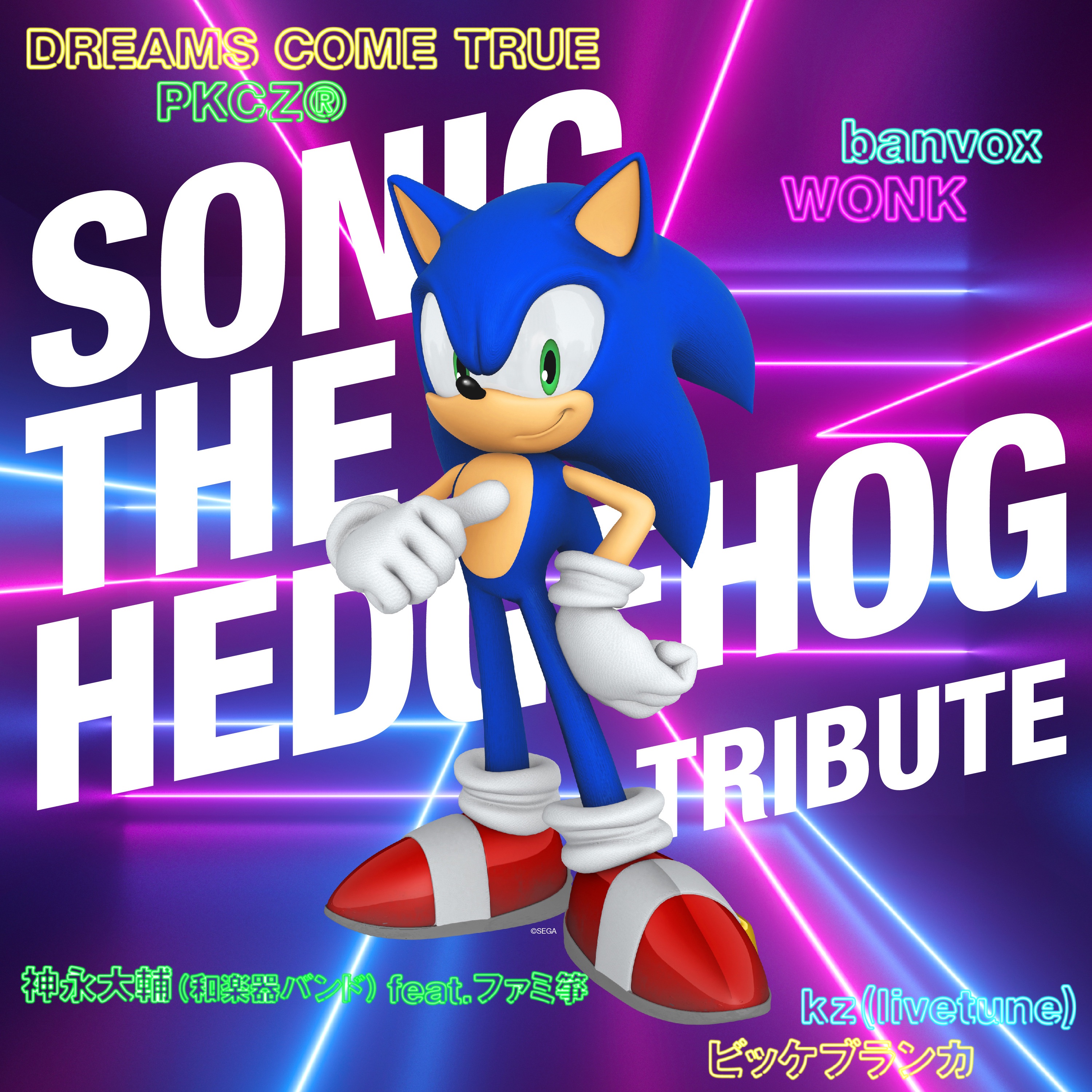 Sonic the Hedgehog Tribute cover
