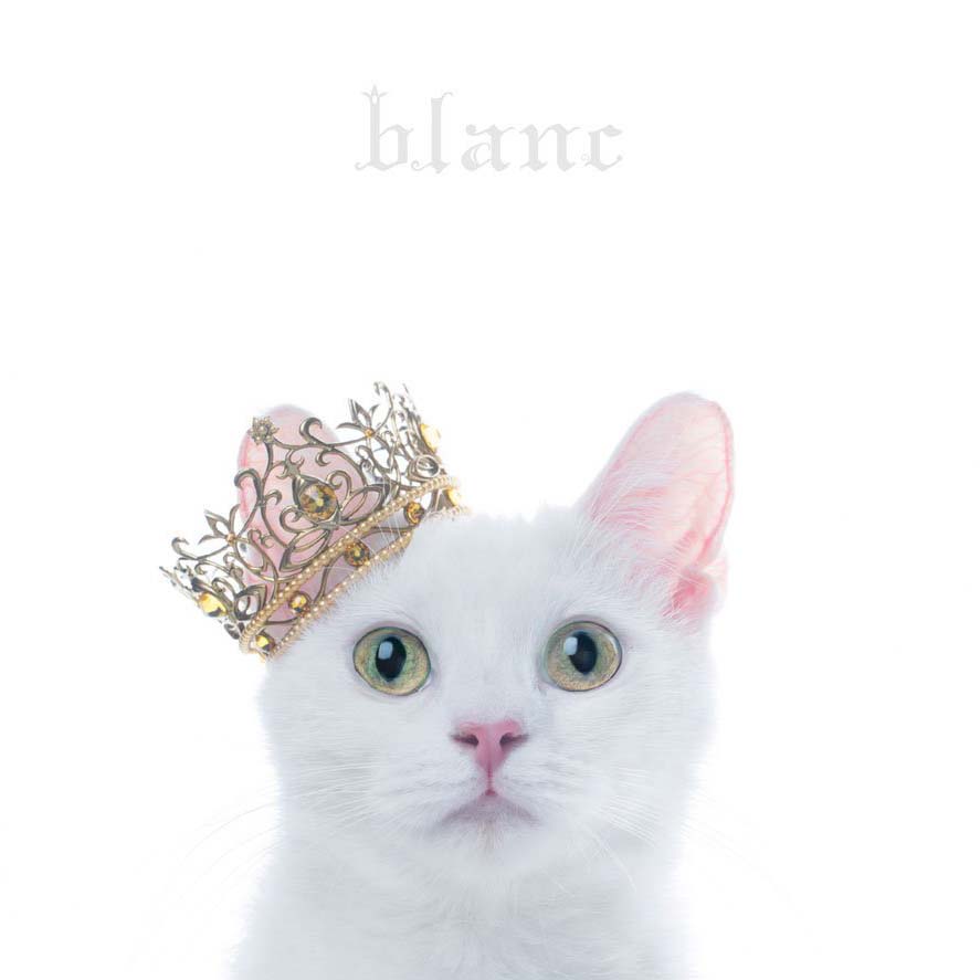 BEST SELECTION “blanc” cover