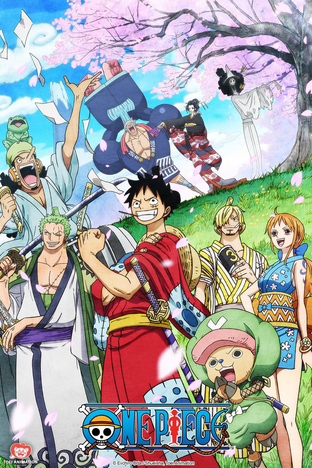 One Piece cover