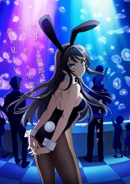 Rascal Does Not Dream of Bunny Girl Senpai cover