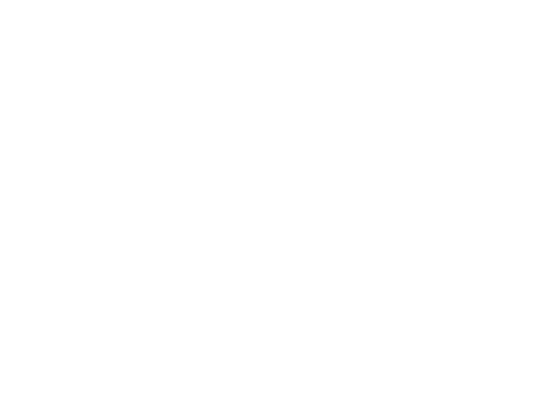 Bravely Default II logo