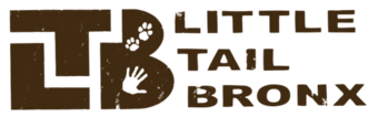 little-tail-bronx